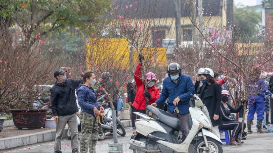 Festive atmosphere prevails at spring flower market in Hanoi