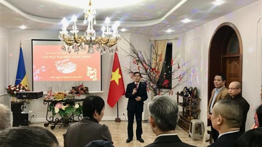 Lunar new year get-togethers held for overseas Vietnamese