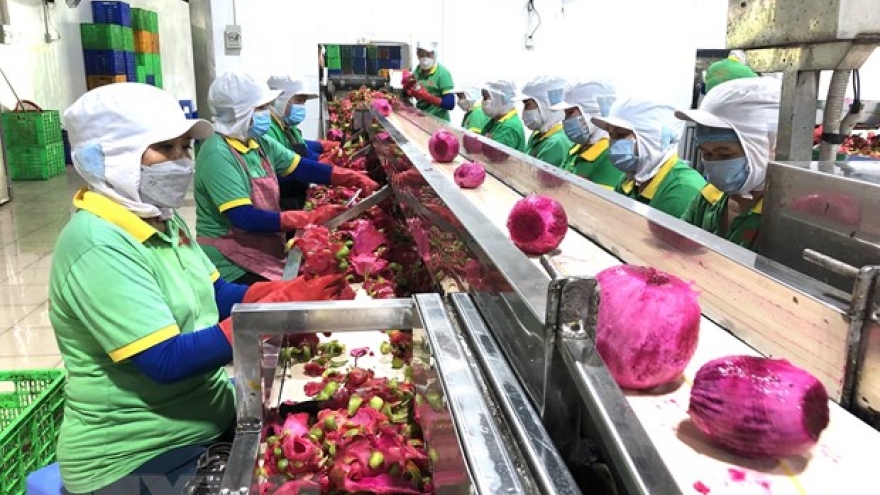 Dong Nai ships first batch of processed fruits overseas in 2022