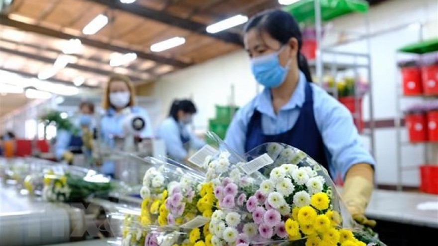 Vietnam to resume cut flower exports to Australia