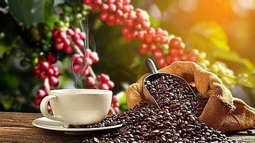 Bright prospects ahead for coffee exports due to high export prices