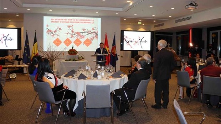 OVs in Belgium, Luxembourg look toward stronger EU-Vietnam ties