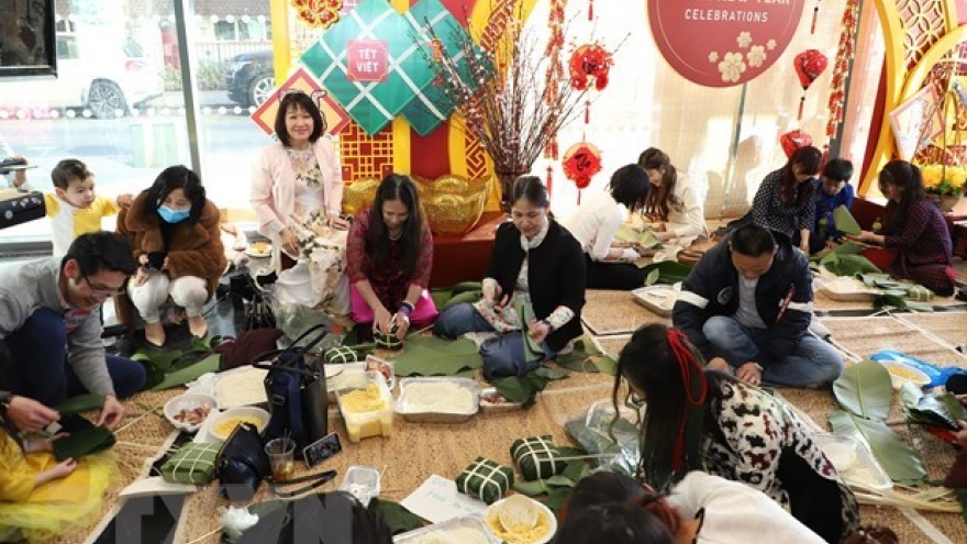 Overseas Vietnamese across nations celebrate Lunar New Year