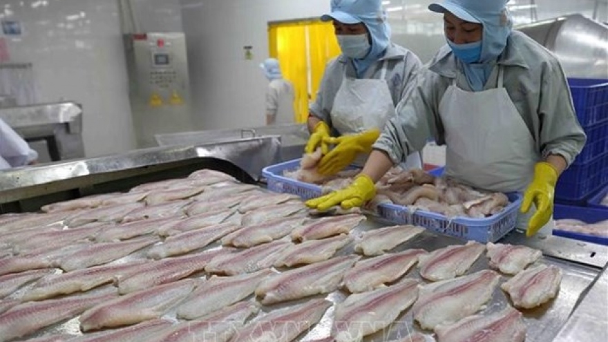 Tra fish export value predicted to top US$1.6 billion in 2022