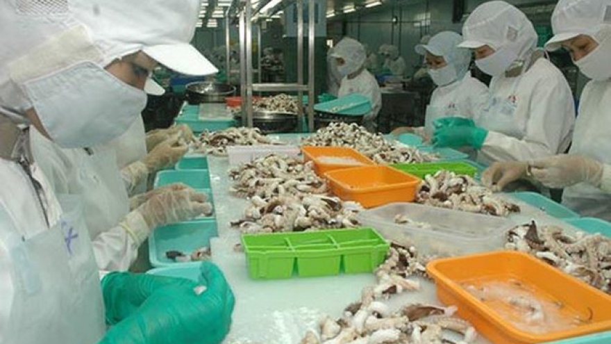 RoK represents largest importer of Vietnamese squid, octopus