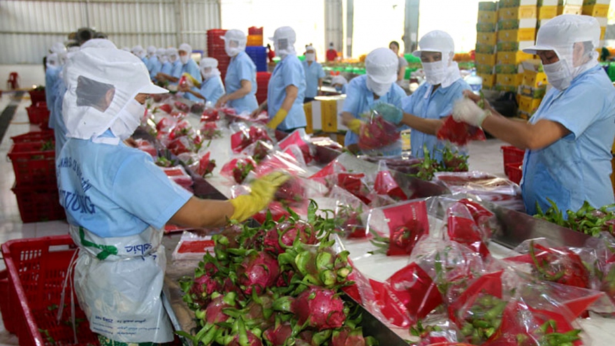 Vietnam enjoys US$4.8bln in trade surplus with UK