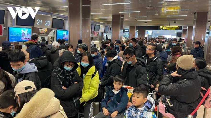 Second flight from Romania brings 291 Vietnamese evacuees from Ukraine back home