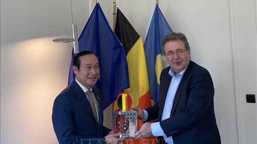 Brussels-Capital Region seeks stronger cooperation with Vietnamese localities