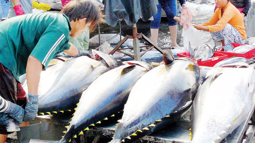 Vietnamese tuna exports impacted by Russia-Ukraine conflict