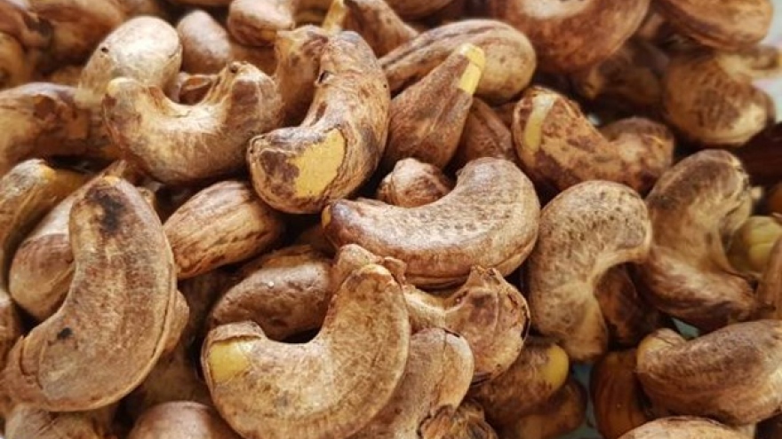 Vietnamese exporters face big losses in suspected cashew nut scams