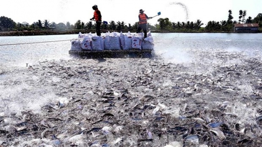 Rising tra fish prices a cause for concern