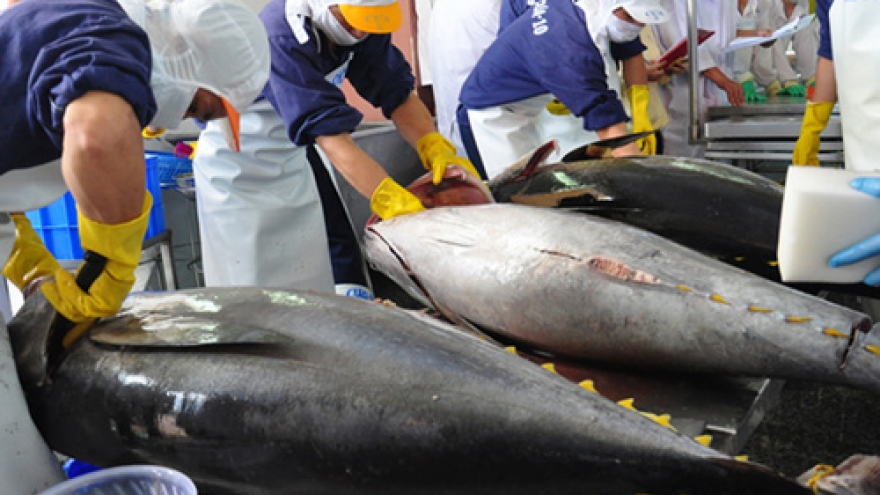 Tuna exports skyrocket thanks to effective FTA enforcement