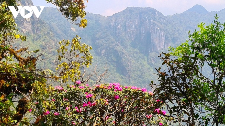 Explore wide beauty of Ta Lien Son mountain in Lai Chau