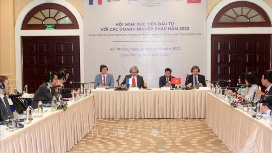 Hai Phong seeks French investment opportunities 