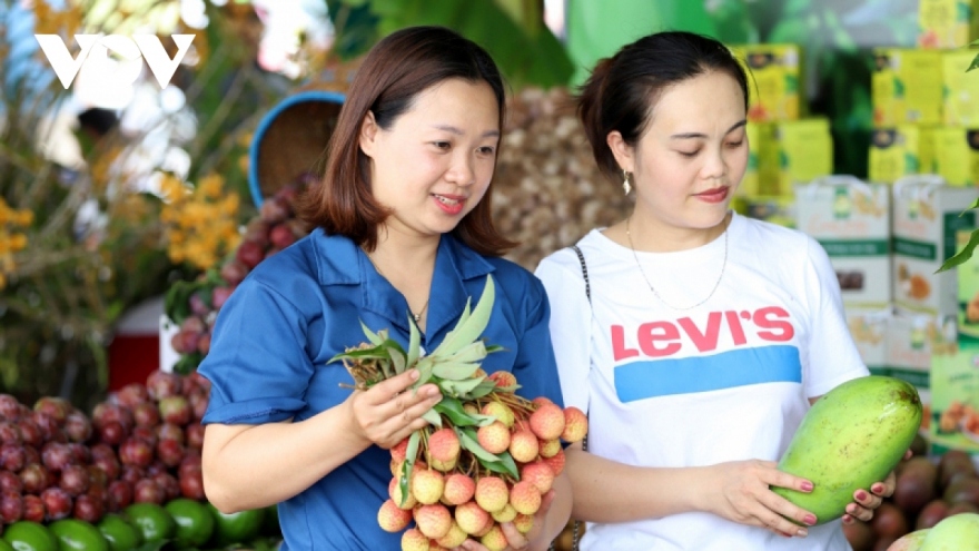 First festival promotes OCOP products in Vietnam