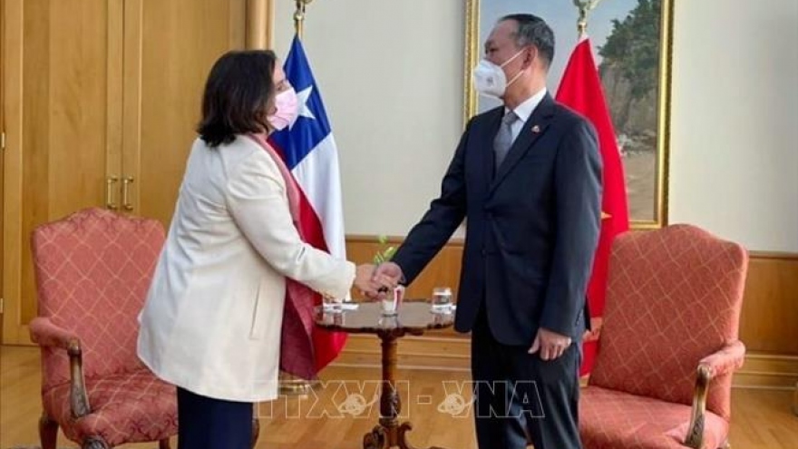 Vietnam- an important partner in SEA: New Chilean FM