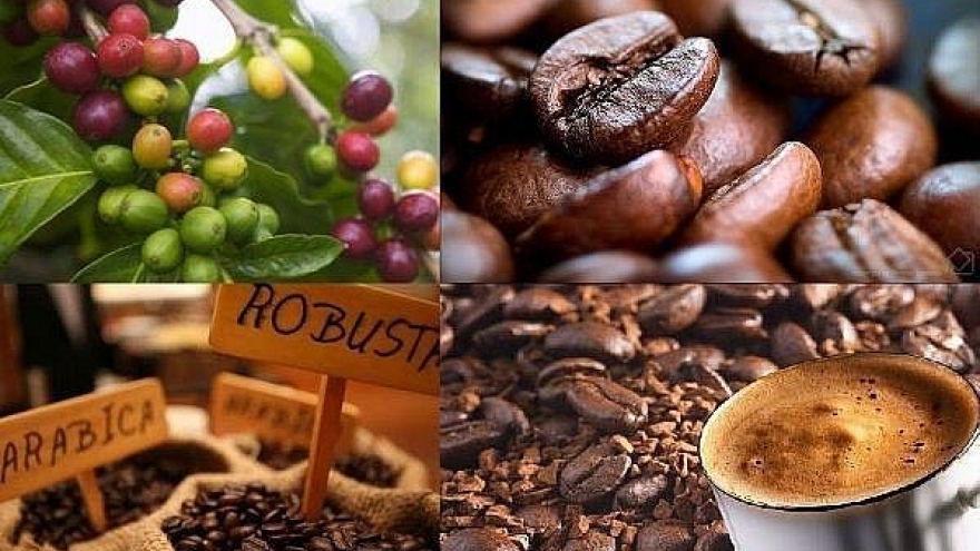 Vietnam coffee exports hit three-year record high 