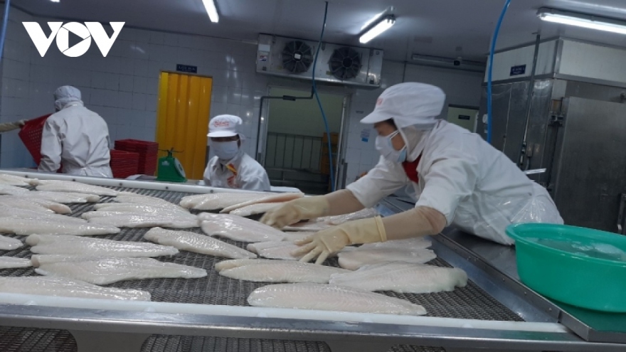Two additional enterprises allowed to export pangasius to EAEU