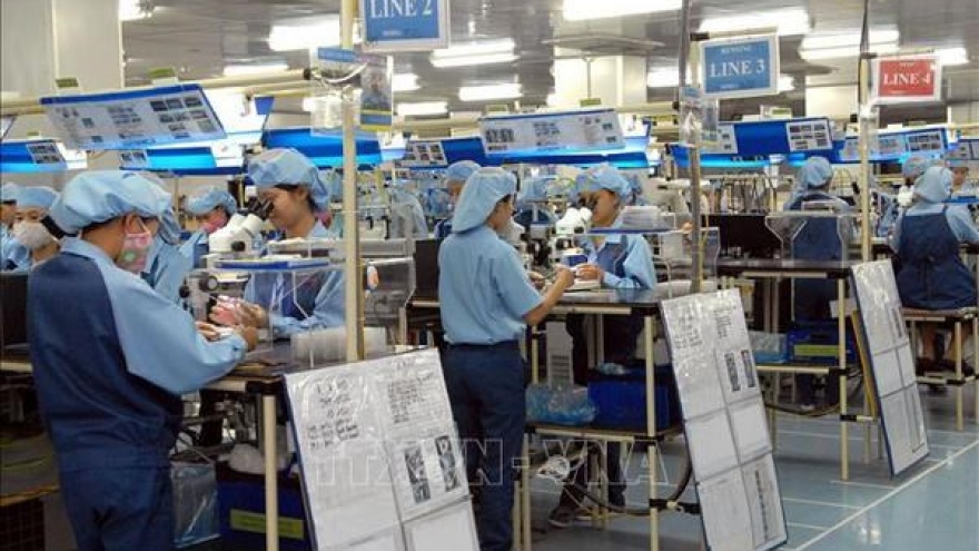 Vietnamese economy to recover fast this year: UNDP representative