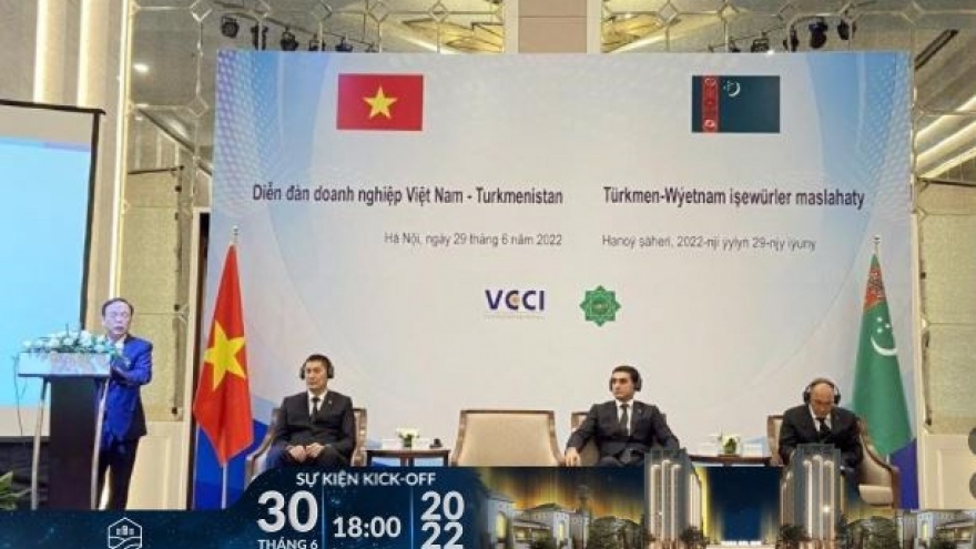Vietnamese and Turkmenistan firms enhance business co-operation