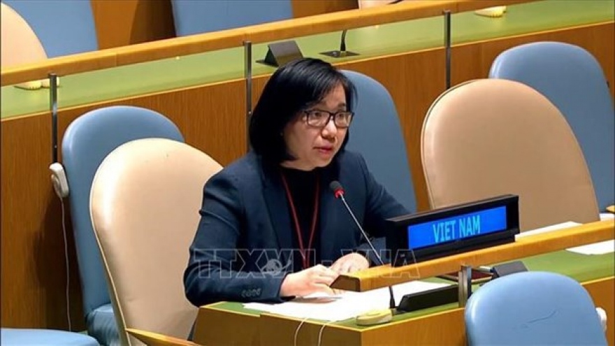 Vietnam pledges to effectively manage small arms, light weapons