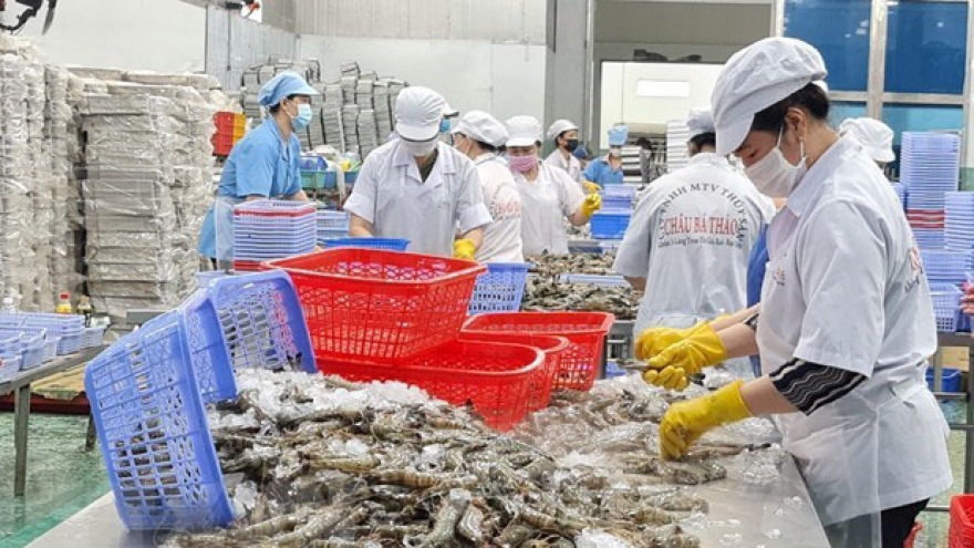 Efforts made to boost seafood cooperation between Vietnam, India