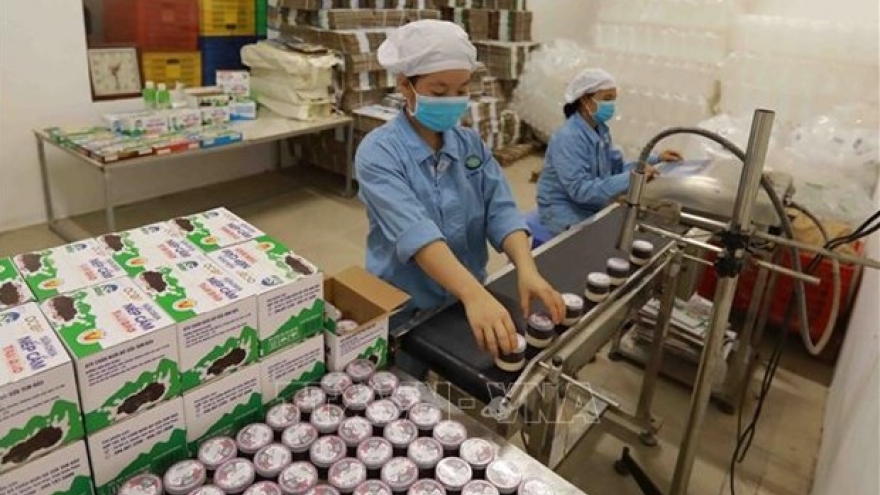 Large room for Vietnam’s dairy farming industry to flourish
