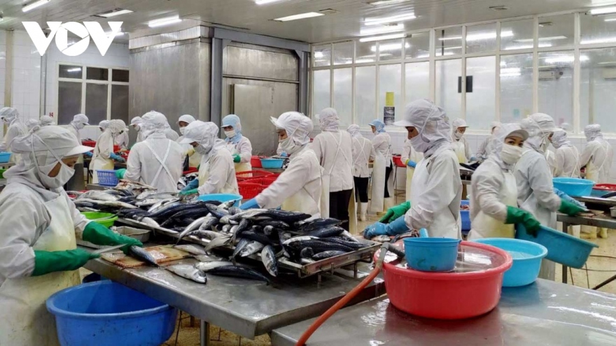 Positive outlook ahead for Vietnamese seafood exports to China 