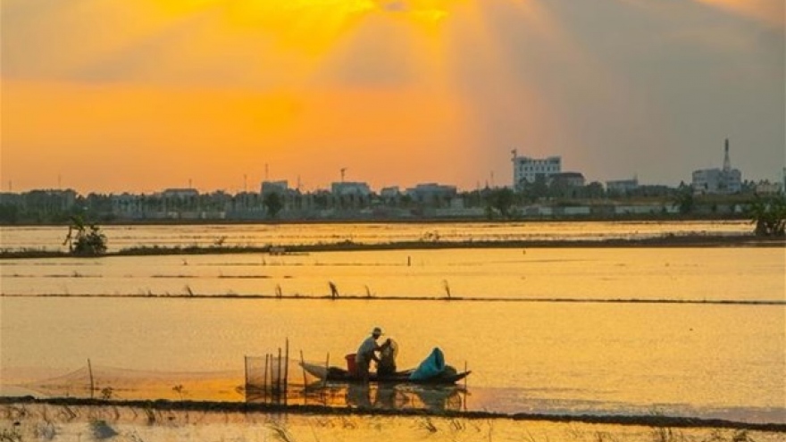 Fulbright University helps improve natural capital management in Mekong Delta