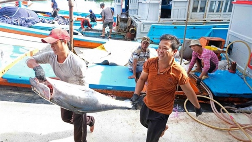 Community-based groups help prevent illegal fishing