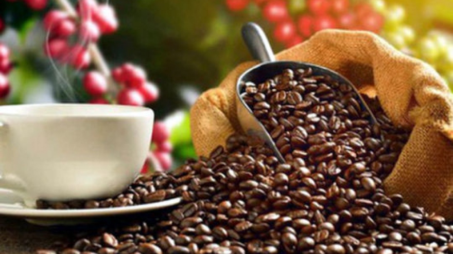 US increases coffee imports from Vietnamese market
