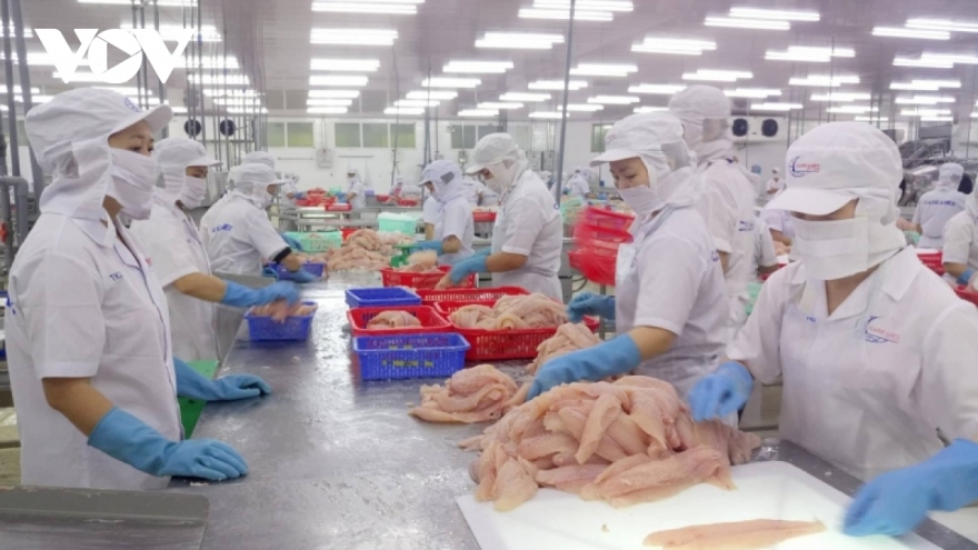 Pangasius exports likely to rake in US$2.6 billion this year