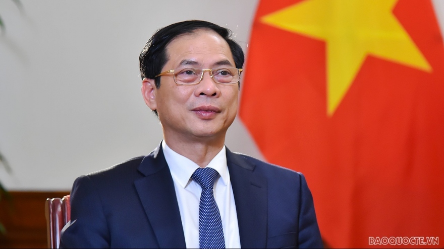 Foreign Minister Bui Thanh Son to visit Indonesia 