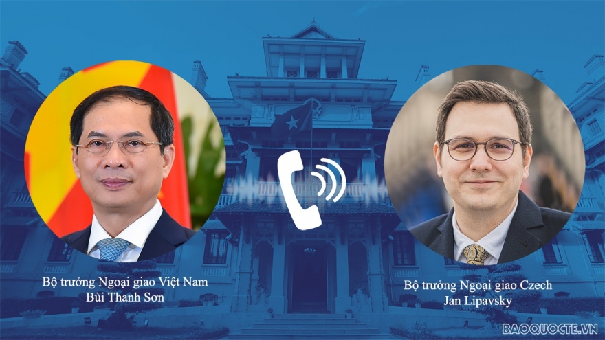 Vietnam always promotes ties with Czech Republic: FM