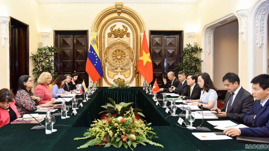 Vietnam, Venezuela hold political consultation in Hanoi 