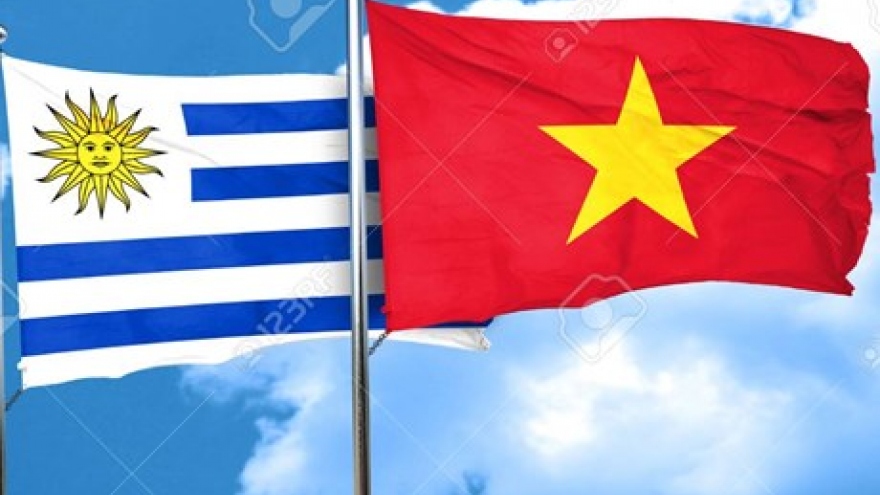 Uruguay keen to promote sound relations with Vietnam