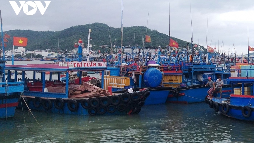 Over 60,000 fishing vessels urged to seek safe shelter from storm Chaba