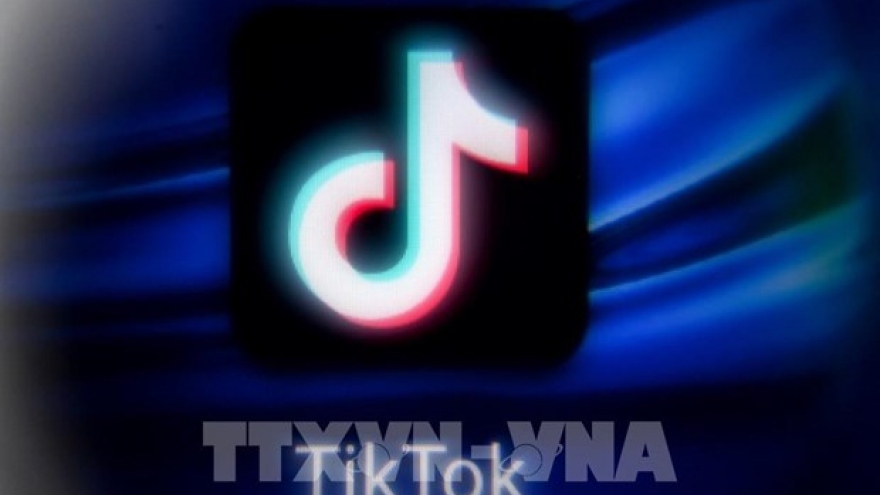 TikTok removes over 2.4 million videos posted by Vietnamese users