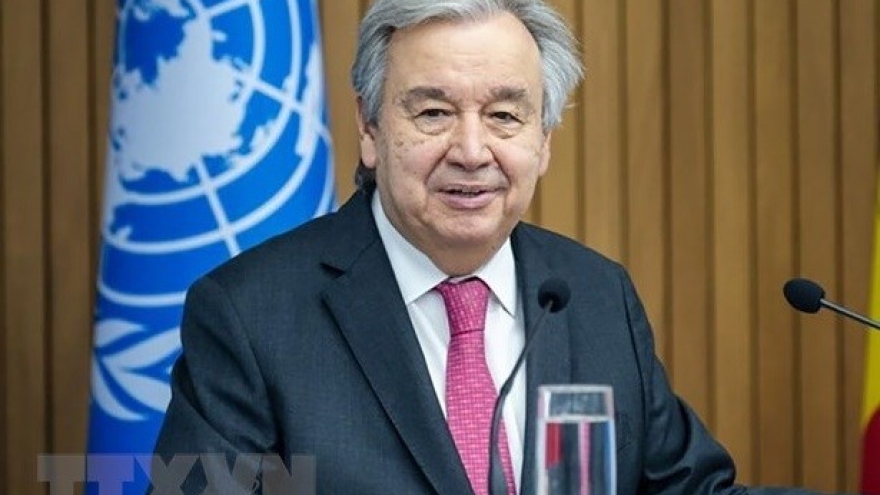 Stronger UN – OIF cooperation needed for SDGs realisation: Ambassador