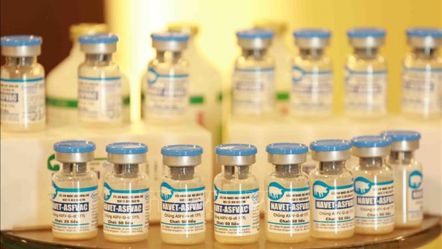 Vietnam develops world's first effective vaccine for ASF: German newspaper