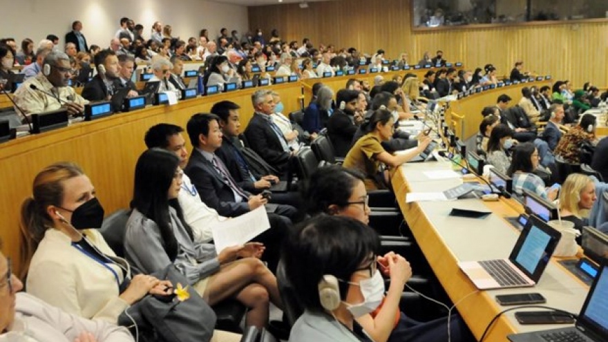 Vietnam makes contributions to negotiations for BBNJ instrument