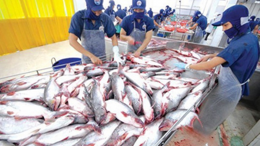 Pangasius exports to EU market set to reach over US$200 million in 2022