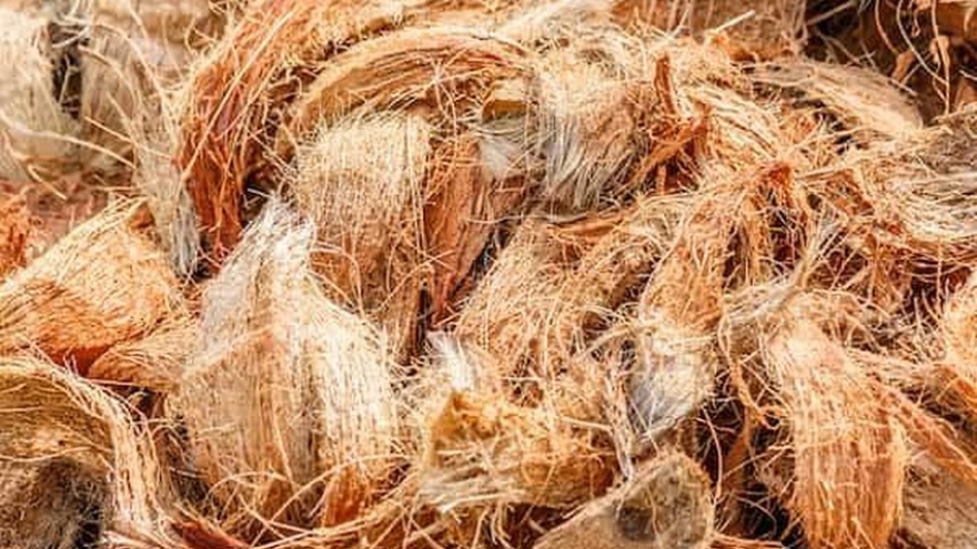 Vietnamese coconut coir exports to Australia record surge of over 270%
