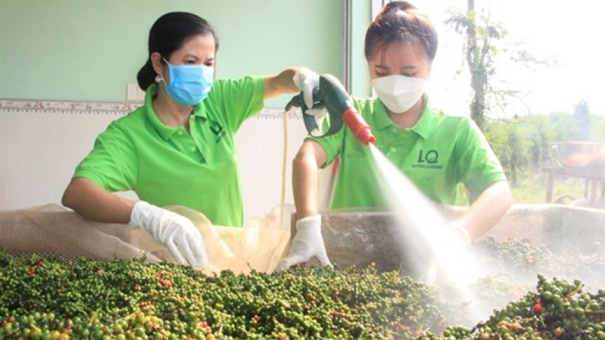 Untapped opportunities for Vietnamese pepper exports to UK