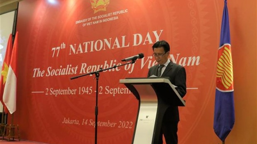 Vietnam-Indonesia ties in prime time: Ambassador