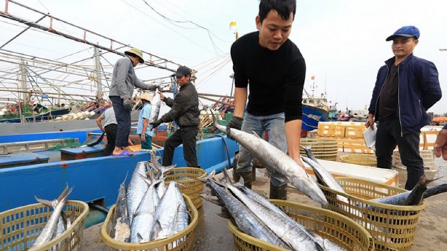 Vietnam steps up greater illegal fishing eradication efforts: Thai news site