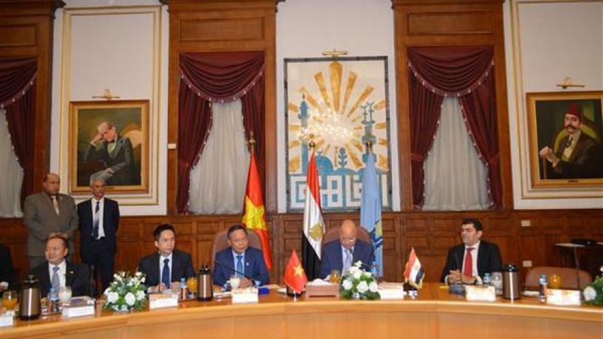 Vietnam, Egypt eye closer collaboration