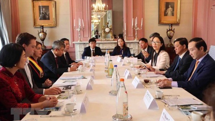 Lam Dong seeks stronger partnership with Belgian businesses, localities