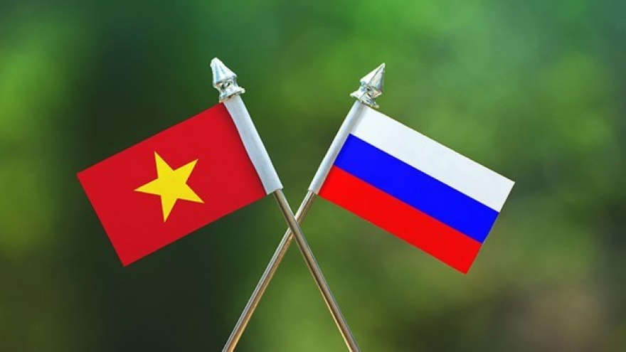 Webinar seeks to step up Vietnam – Russia cooperation
