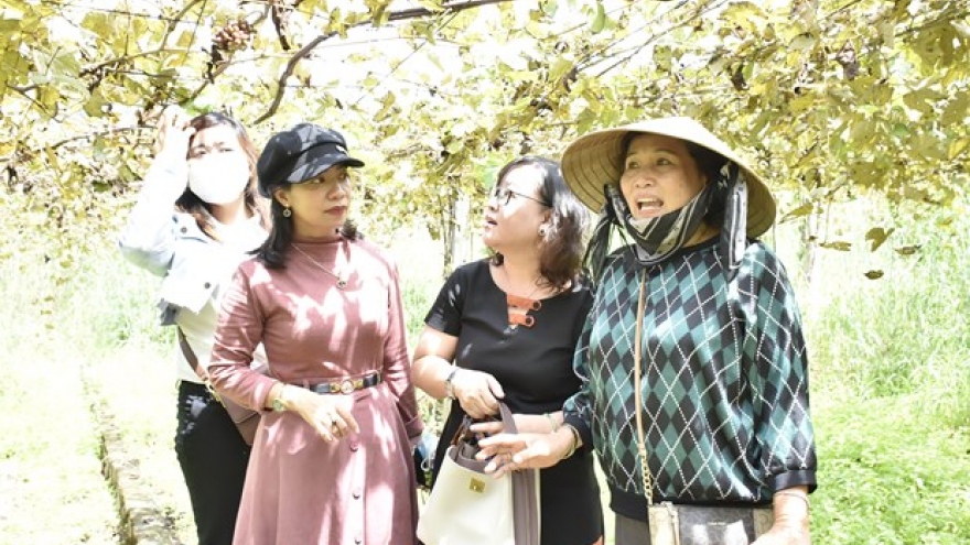 Ecotourism – new wave for Ba Ria-Vung Tau
